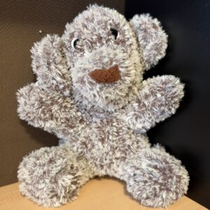 Teddy the Snuggle Bear