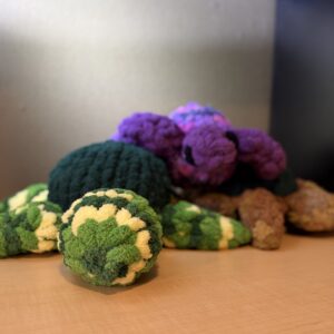 Scout the Turtle