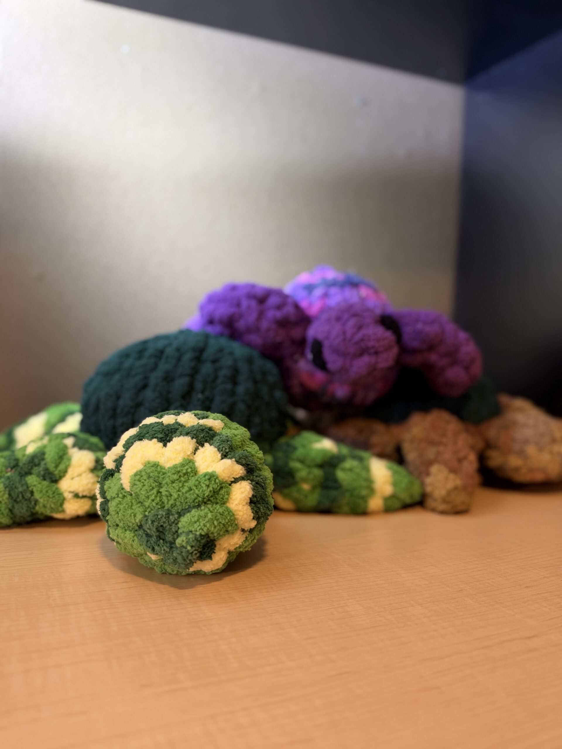 Tilly the Turtle